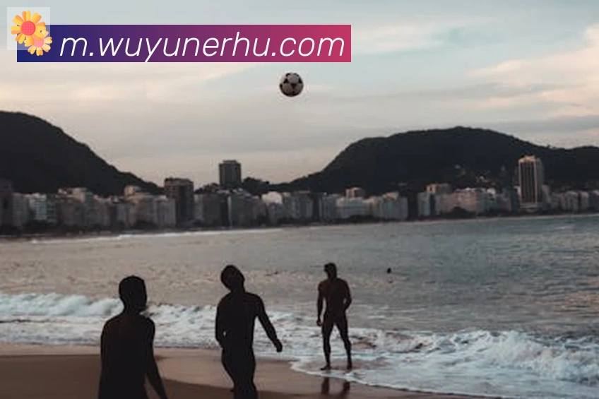 开云app登录入口服务体系