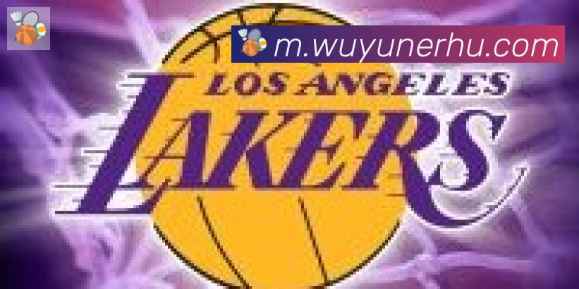 开云app登录入口合作伙伴