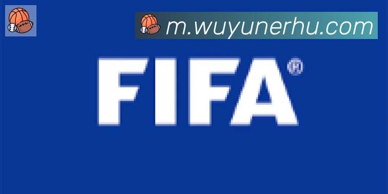 开云app登录入口合作伙伴