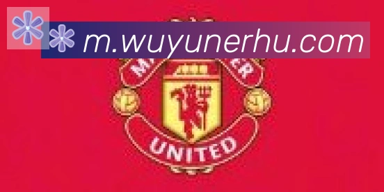 开云app登录入口合作伙伴