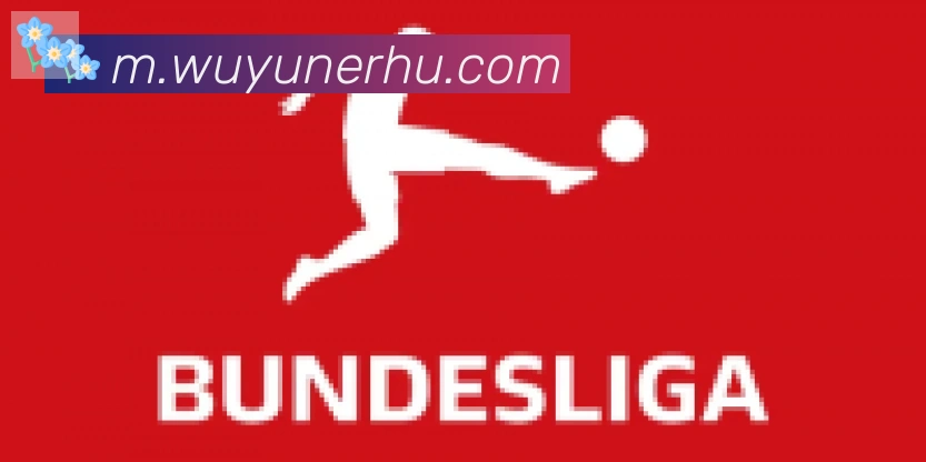 开云app登录入口合作伙伴